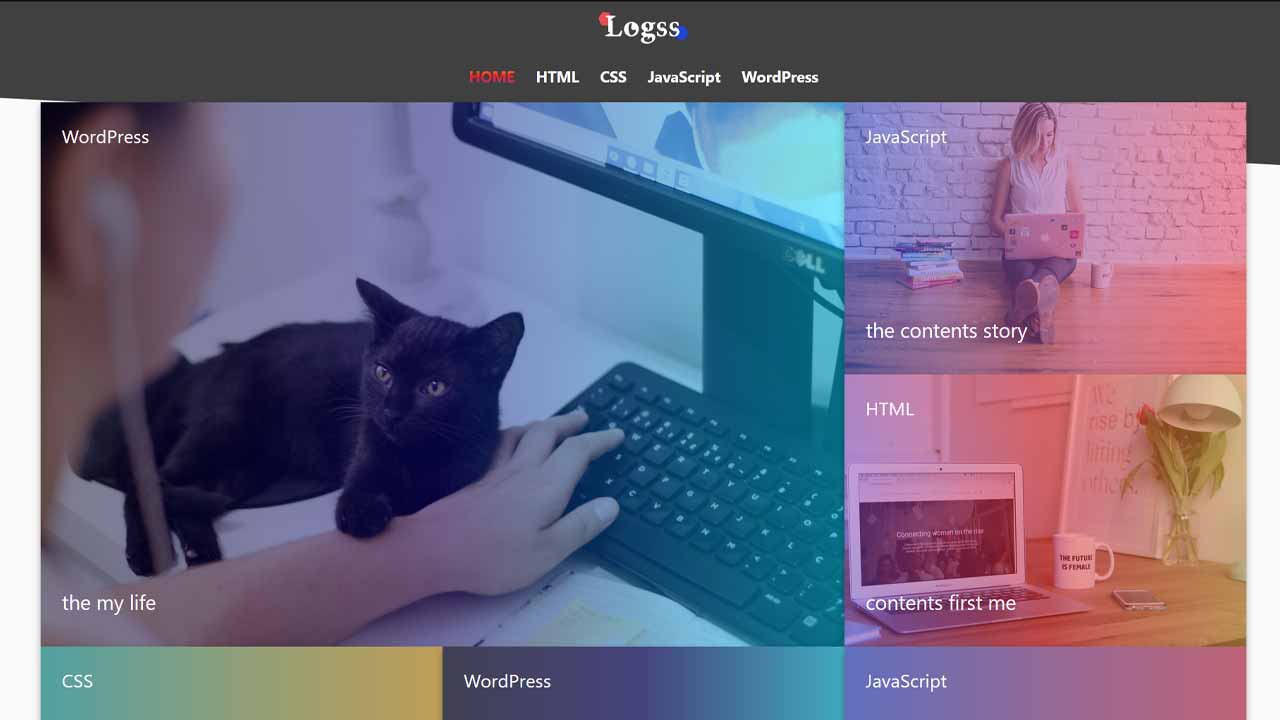 logss.net site